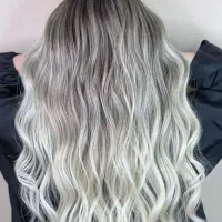 دستیار رنگ ولایت