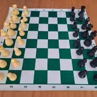 تدریس خصوصی شطرنج و دروس مدرسه