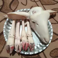 جیگر وکله پاچه