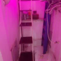 پایه گل و گلدون