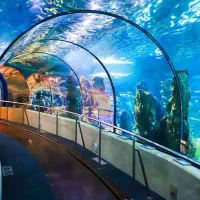 برو تور کیش 5 روزه ارزون و قسطی - بارو بندیل سفر