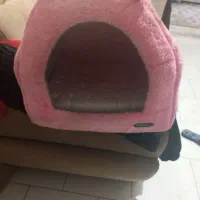 فروش خانه سگ زیر قیمت