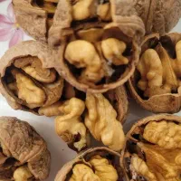 گردو پوست کاغذی تویسرکان ،بادام،مغز گردو،درجه ۱|خوردنی و آشامیدنی|شیراز, باغ تخت|دیوار