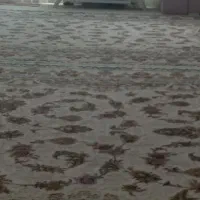 فرش ۹ متری