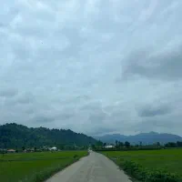 ۲۸۰ متر فومن سند دار|فروش زمین و ملک کلنگی|فومن, |دیوار