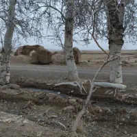 یک قطعه زمین واقع در زنبیه باغستان علیا