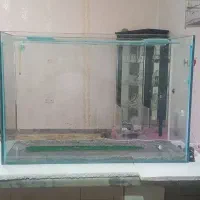 آکواریوم ماهی