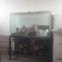 اکواریوم با تمام تجهیزات