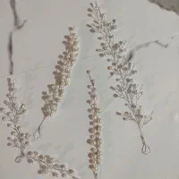 ریسه شنیون|بدلیجات|مشهد, طبرسی شمالی|دیوار