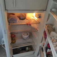 یخچال ایران پویا