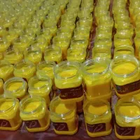 وازلین عمده فروش قیمت ۵۰|عمده‌فروشی|ایرانشهر, |دیوار