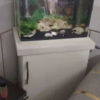 آکواریوم ماهیران با میز و ماهی‌و تجهیزات