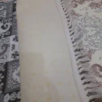 پادری|پادری|شهریار, شهریار|دیوار