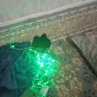 ریسه سبز خوش رنگ