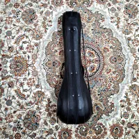 سه تار هوالحق|سازهای سنتی|قرچک, زیبا شهر|دیوار