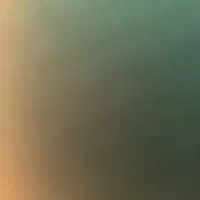 شناسنامه گم شده