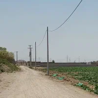 ۲پلاک زمین باغی به متراژ ۳۰۰متر۳۵۰ متر قهجاورستان|فروش زمین و ملک کلنگی|اصفهان, قهجاورستان|دیوار