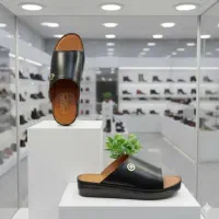 تولید دمپایی اصلی (فقط کارتنی)