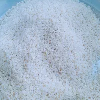 برنج تازه سوسن