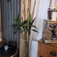 بامبو مصنوعی با چوب بامبو