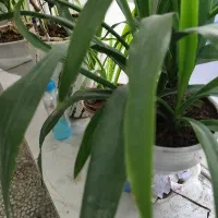 طبقه-همکف-اجاره-رهن-رزمندگان