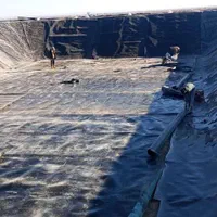 فروش و اجرای ورق استخری ژئوممبران|خدمات پیشه و مهارت|فردوس (خراسان), |دیوار