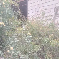 زمین تجاری نظرآباد