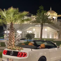 اجاره فورد موستانگ کروک|خدمات پذیرایی، مراسم|رشت, استقامت ۱|دیوار