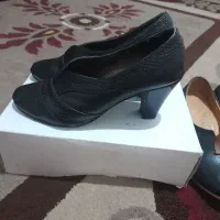 کفش مجلسی|کیف، کفش، کمربند|ایجرود, |دیوار