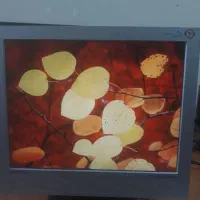 مانیتور ۱۵ اینچ LCD