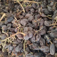 کشمش آفتابی بوانات|خوردنی و آشامیدنی|بوانات, |دیوار