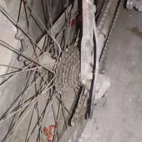 دوچرخه 26اورلرد