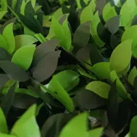 چمن فنس چمنی تایل چمن|مصالح و تجهیزات ساختمان|زنجان, |دیوار