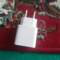 شارژر شیامی