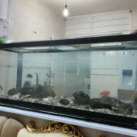 آکواریوم