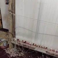 فروش قالیچه|فرش|آذرشهر, |دیوار