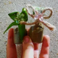 گیفت عروسی حنا