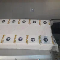 تشک نوجوان در حد