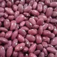 لوبیا‌قرمز رقم.یاقوت‌کیلویی۲۶۰