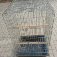 قفس بزرگ عروس هلندی