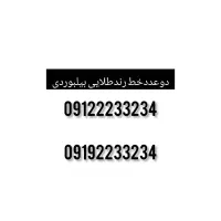 دوعدد خط رند طلایی بیلبوردی