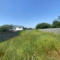 فروش زمین ۵۰۰ متری در کوچه بهار فرح آباد