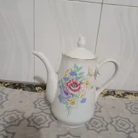 ظروف پذیرایی