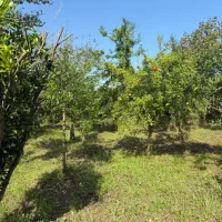 فروش باغ ویلا زیبا در تنکابن ،سند ششدانگ،|فروش خانه و ویلا|تنکابن, |دیوار