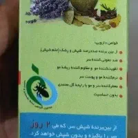 محلول شپش