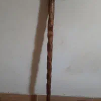 عصا سالم درحد نو