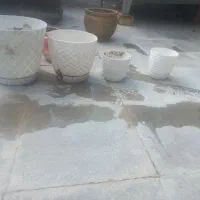 وسایل گل|گل و گیاه طبیعی|شیراز, شهدای شهرک سعدی|دیوار