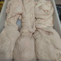 کارگاه کله پاچه و سیرابی پاک کنی رجبی...|خوردنی و آشامیدنی|الیگودرز, |دیوار