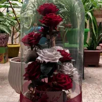 انواع دسته گل ، سبد گل و گل تک|گل مصنوعی|سبزوار, گلشن|دیوار