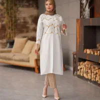 تعدادی مانتو و لباس مجلسی|لباس|شاهین‌شهر, عطار|دیوار